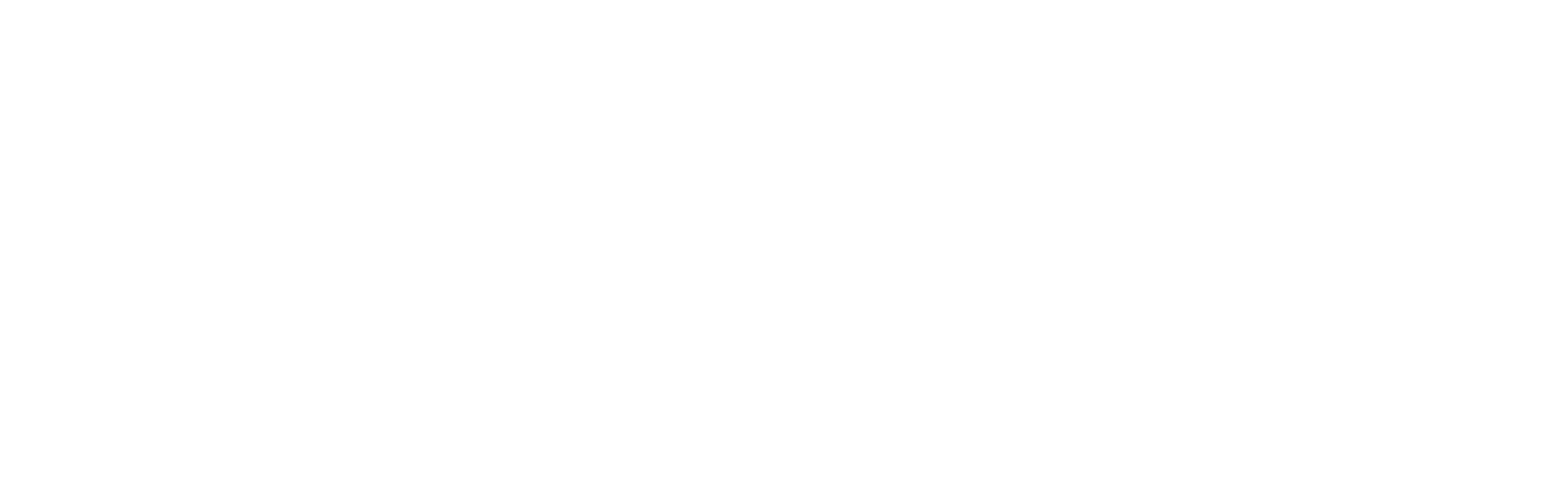 INCOACH Horizontal Lockup - White